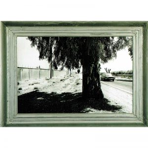 kunstkaart Diane Diemel